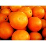 Oranges bio en vrac