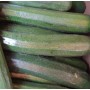 Courgettes bio, légumes bio